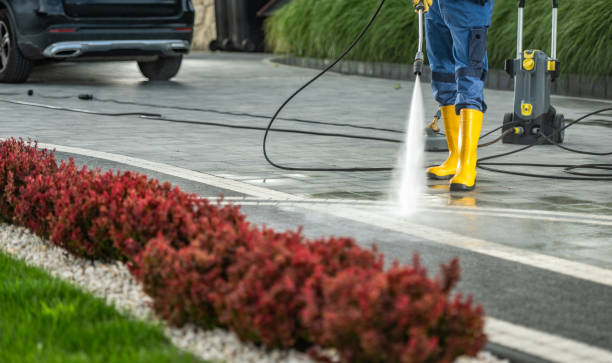 Animal Enclosure Cleaning in Lakemoor, IL